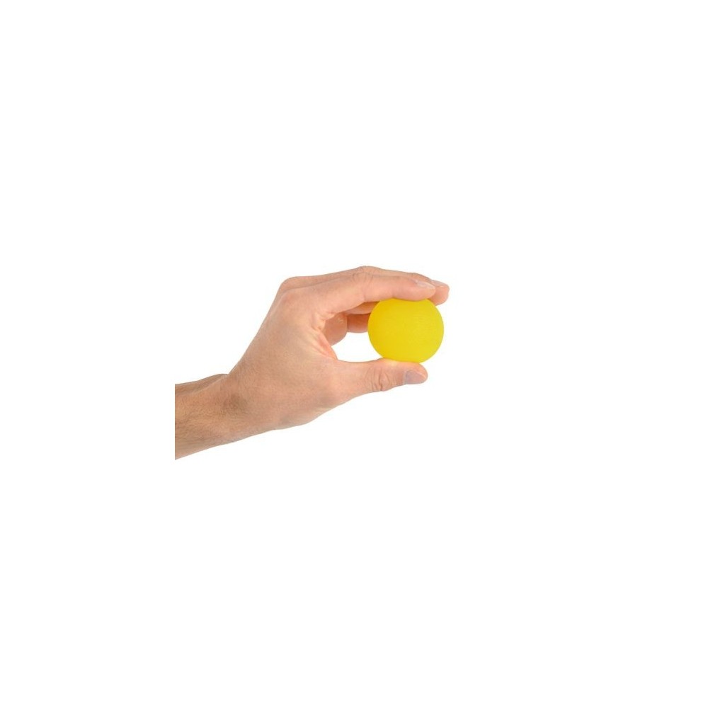 SET DE 2 BOLAS DE EJERCICIO